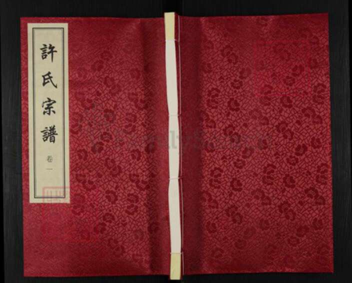 江苏省常州市新北区春江镇许氏德仁堂族谱-许氏宗谱.pdf电子版缩略图