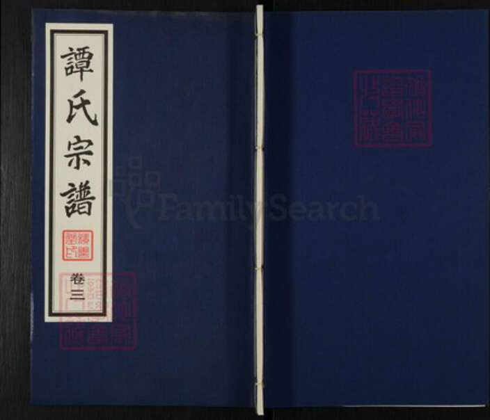 江苏省无锡市江阴市云亭街道谭氏积善堂族谱-花山谭氏宗谱.pdf电子版缩略图