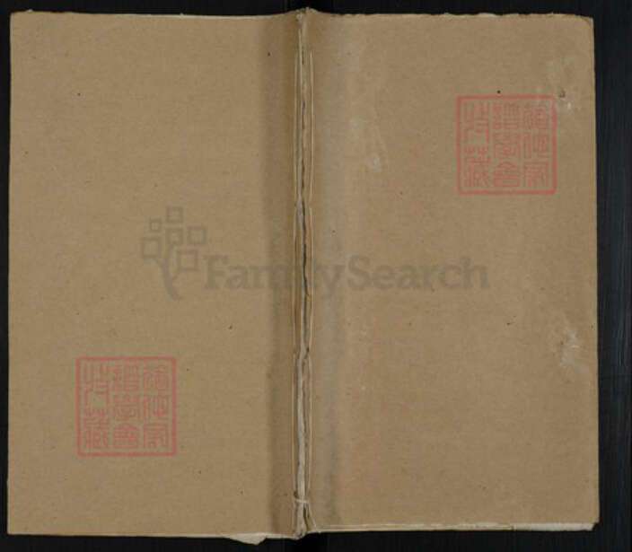 湖北省黄冈市红安县姜氏族谱-姜氏族谱.pdf电子版缩略图