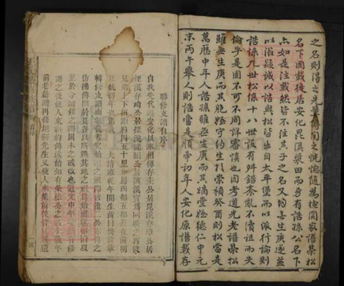 湖南省娄底市新化县王氏族谱-王氏续修族谱.pdf电子版预览图2