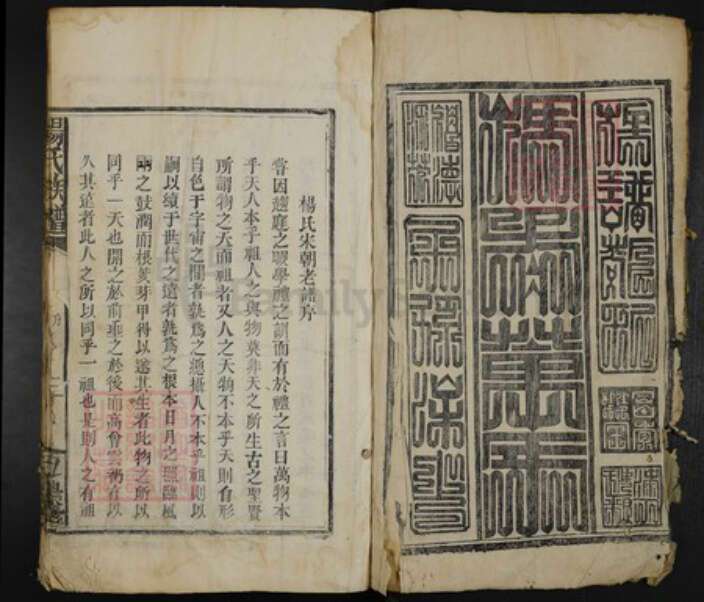 江西省宜春市万载县杨氏弘农堂族谱-杨氏族谱.pdf电子版预览图2