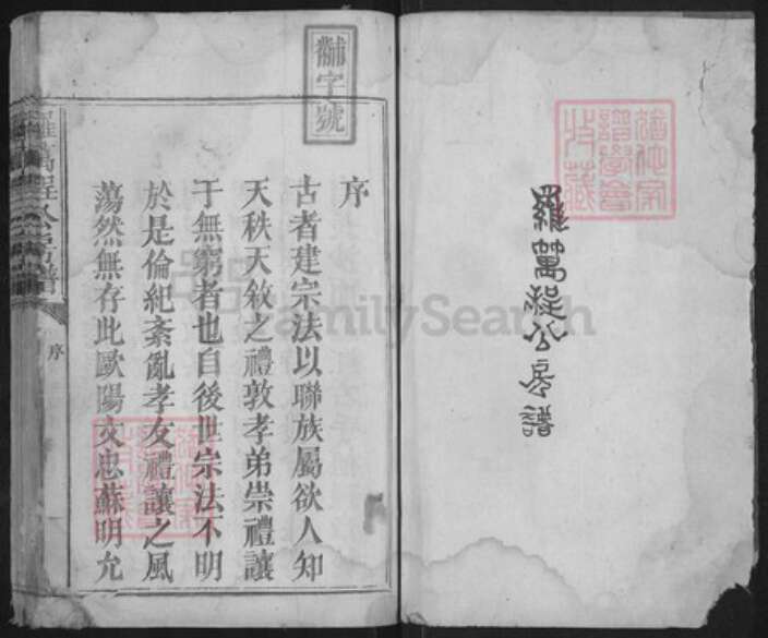 江西省抚州市宜黄县棠阴镇罗氏族谱-罗万程公房谱.pdf电子版预览图1