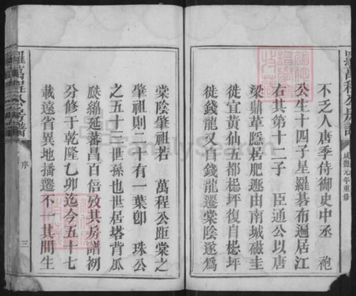 江西省抚州市宜黄县棠阴镇罗氏族谱-罗万程公房谱.pdf电子版预览图3