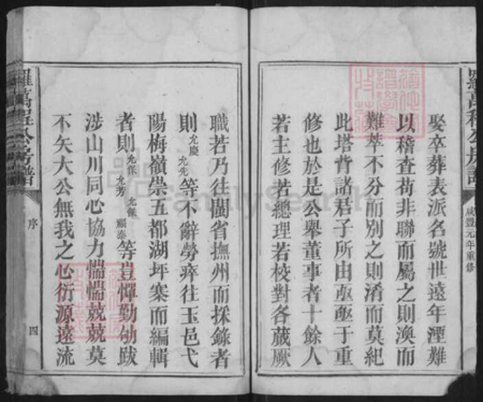 江西省抚州市宜黄县棠阴镇罗氏族谱-罗万程公房谱.pdf电子版预览图4