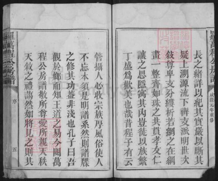 江西省抚州市宜黄县棠阴镇罗氏族谱-罗万程公房谱.pdf电子版预览图5