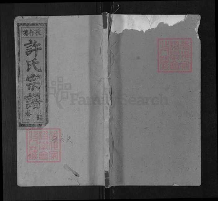 江西省上饶市广丰区许氏孝友堂族谱-桃柿塘许氏宗谱.pdf电子版缩略图