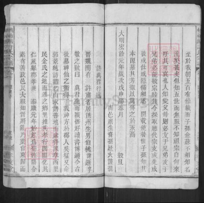 江西省上饶市广丰区许氏孝友堂族谱-桃柿塘许氏宗谱.pdf电子版预览图5