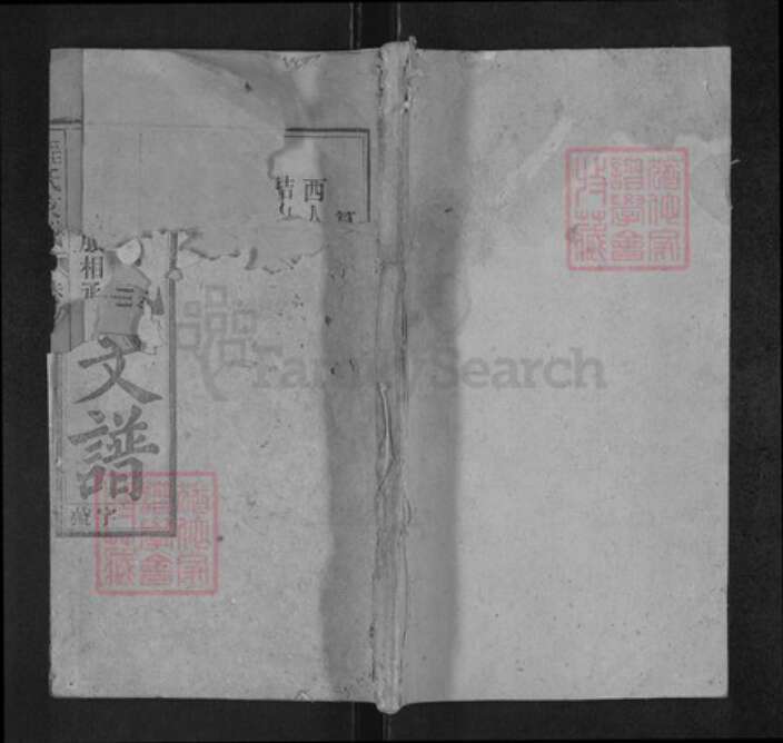 安徽省安庆市宜秀区程氏继箴堂族谱-程氏支谱.pdf电子版缩略图