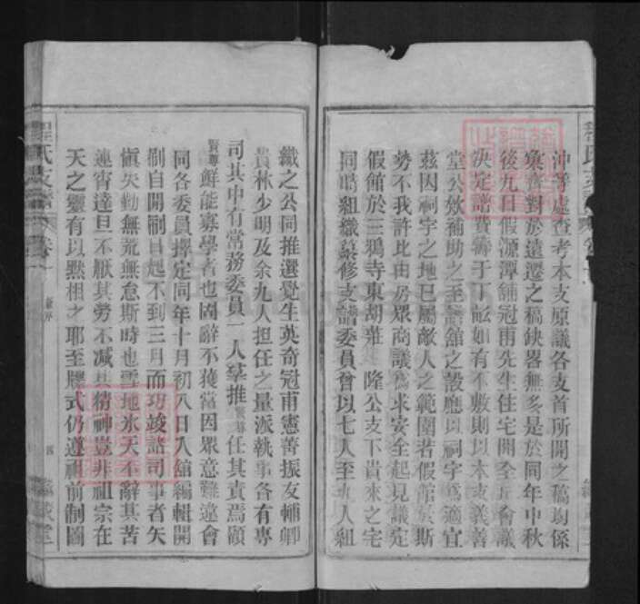 安徽省安庆市宜秀区程氏继箴堂族谱-程氏支谱.pdf电子版预览图4