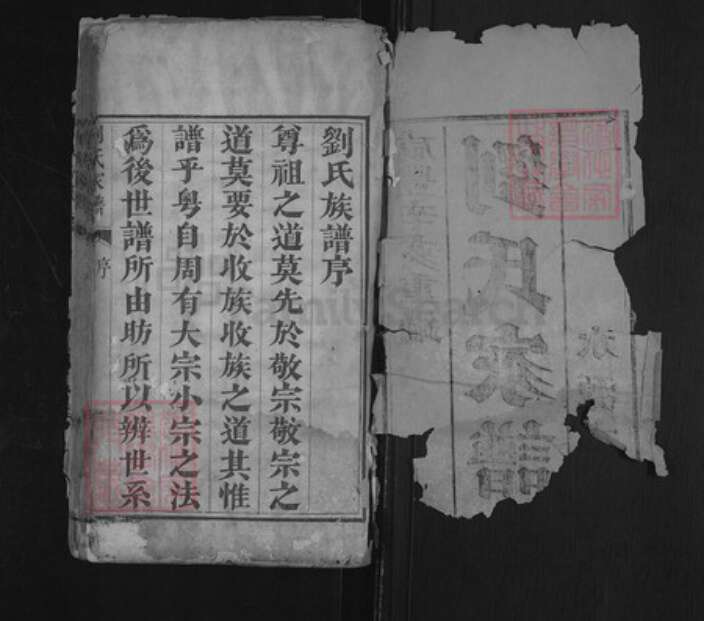 山东省泰安市宁阳县刘氏族谱-刘氏家谱.pdf电子版预览图1