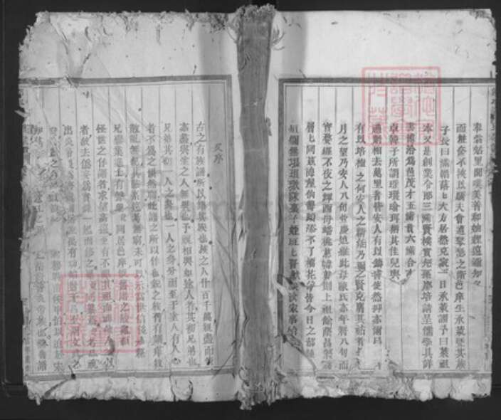 浙江省金华市永康市吕氏族谱-仰平吕氏宗谱.pdf电子版缩略图