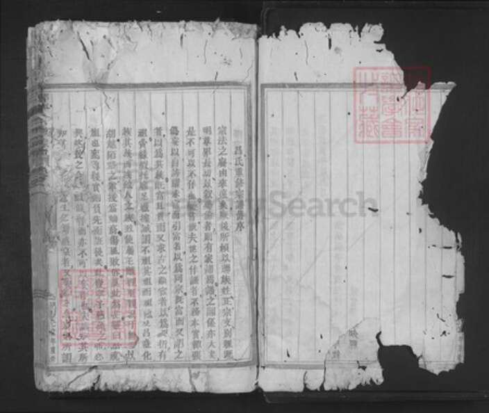 浙江省金华市永康市吕氏族谱-仰平吕氏宗谱.pdf电子版预览图3