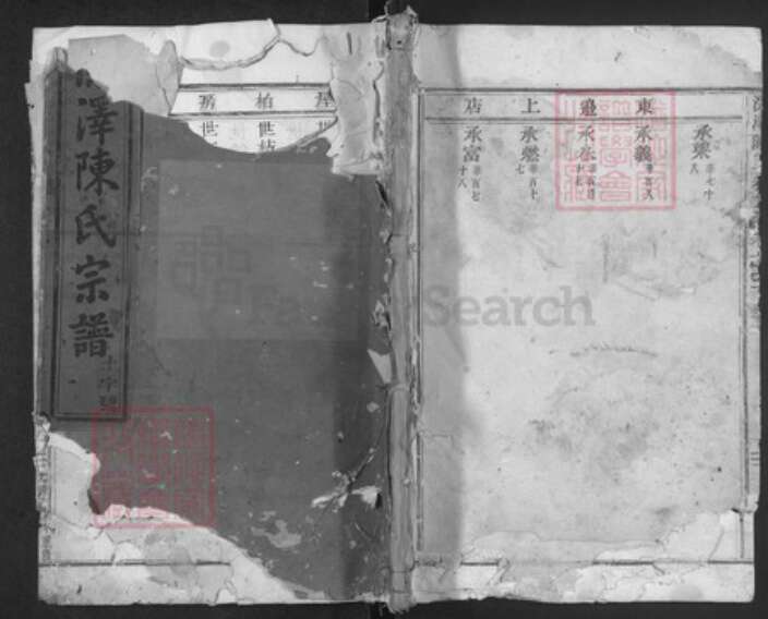 浙江省金华市磐安县深泽乡陈氏族谱-深泽陈氏宗谱.pdf电子版缩略图