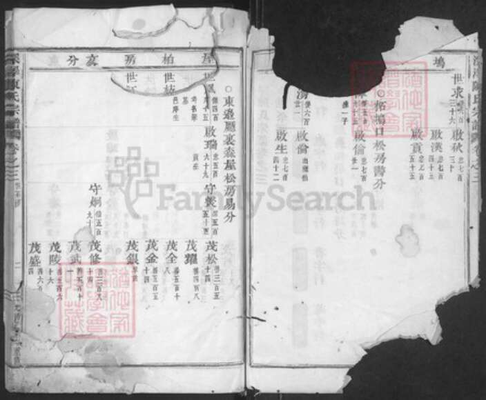 浙江省金华市磐安县深泽乡陈氏族谱-深泽陈氏宗谱.pdf电子版预览图2