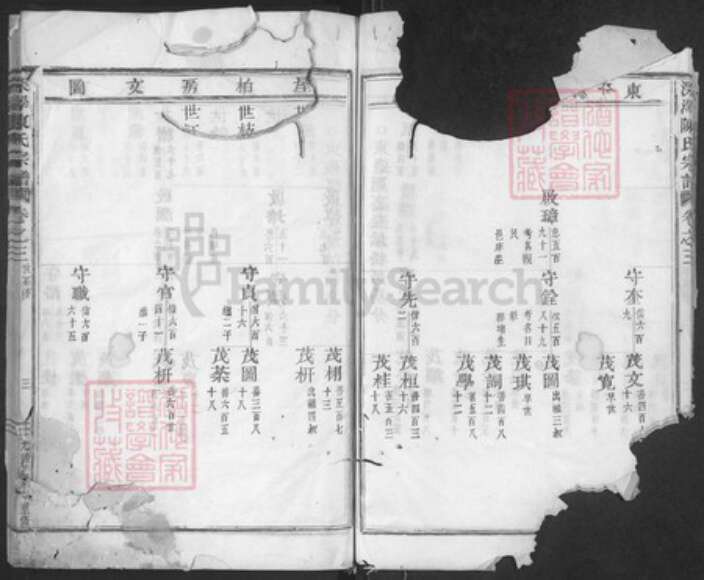 浙江省金华市磐安县深泽乡陈氏族谱-深泽陈氏宗谱.pdf电子版预览图3