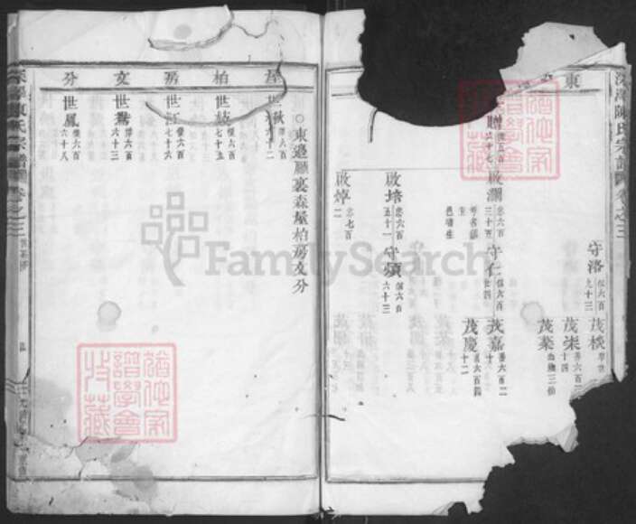 浙江省金华市磐安县深泽乡陈氏族谱-深泽陈氏宗谱.pdf电子版预览图4