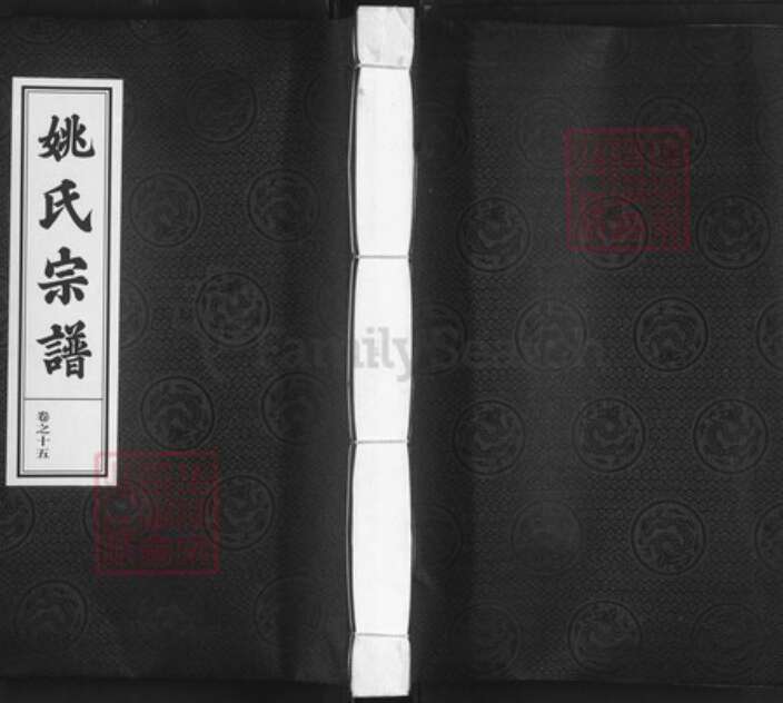 浙江省杭州市淳安县县汾口镇姚氏敦睦堂族谱-姚氏宗谱.pdf电子版缩略图
