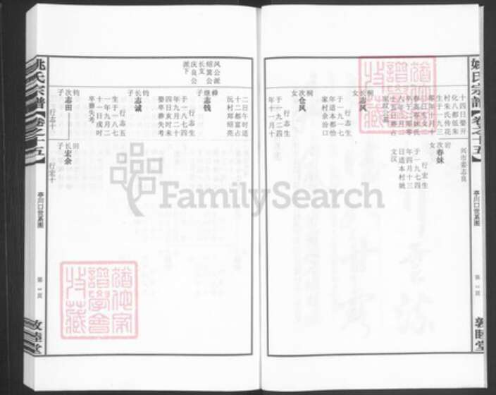 浙江省杭州市淳安县县汾口镇姚氏敦睦堂族谱-姚氏宗谱.pdf电子版预览图3