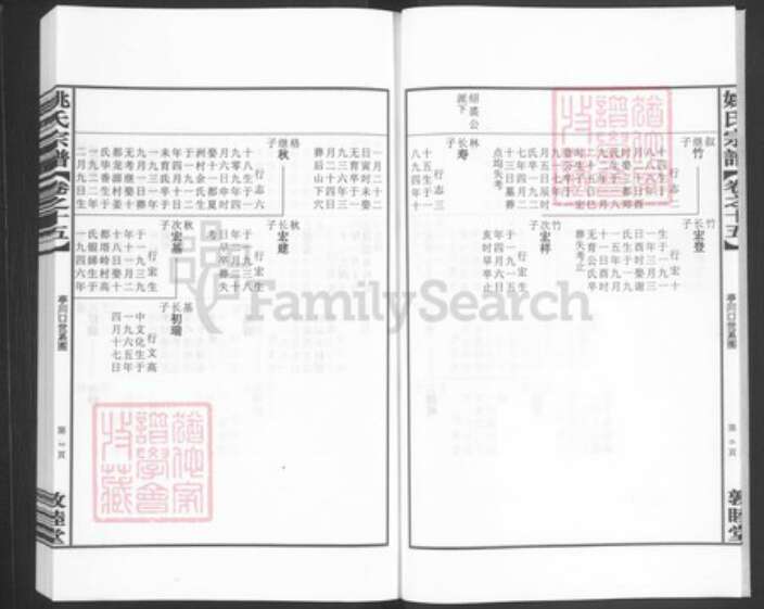 浙江省杭州市淳安县县汾口镇姚氏敦睦堂族谱-姚氏宗谱.pdf电子版预览图5