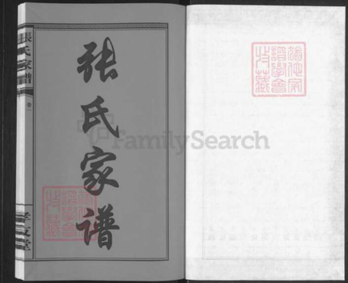 湖南省长沙市浏阳市浏阳张氏孝友堂族谱-张氏家谱.pdf电子版预览图1