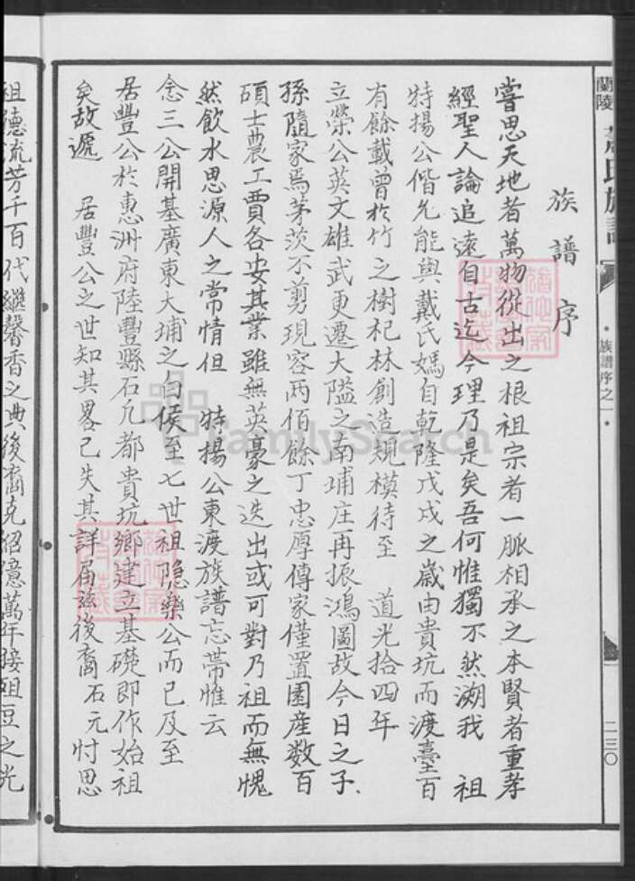 广东省梅州市梅县区萧氏师俭堂族谱-广东松源肇基始祖梅轩公脉系萧氏族谱.pdf电子版预览图2