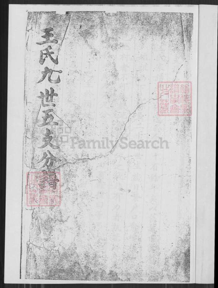 云南省大理白族自治州鹤庆县王氏族谱-王氏九世五支分谱.pdf电子版预览图1