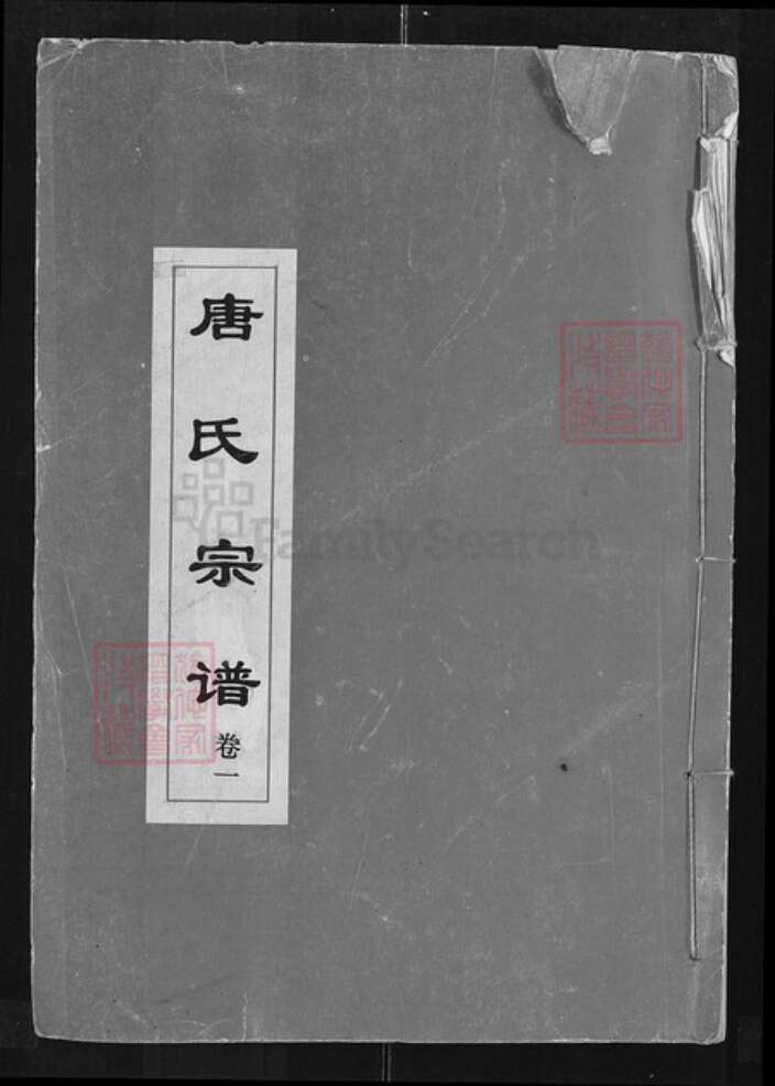 湖北省武汉市江夏区唐氏族谱-唐氏宗谱.pdf电子版缩略图