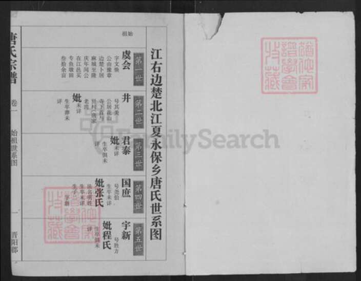 湖北省武汉市江夏区唐氏族谱-唐氏宗谱.pdf电子版预览图1