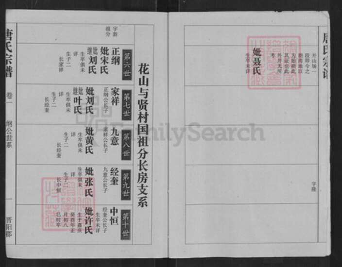 湖北省武汉市江夏区唐氏族谱-唐氏宗谱.pdf电子版预览图2