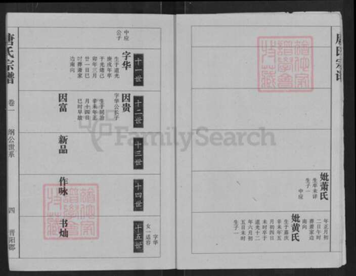 湖北省武汉市江夏区唐氏族谱-唐氏宗谱.pdf电子版预览图5