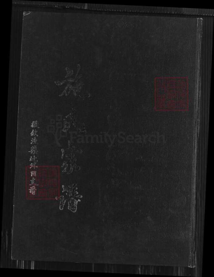 江苏省淮安市沭阳江苏省宿迁市沭阳县施氏族谱-施氏家谱.徽歙渔梁迁沭阳支谱.pdf电子版缩略图