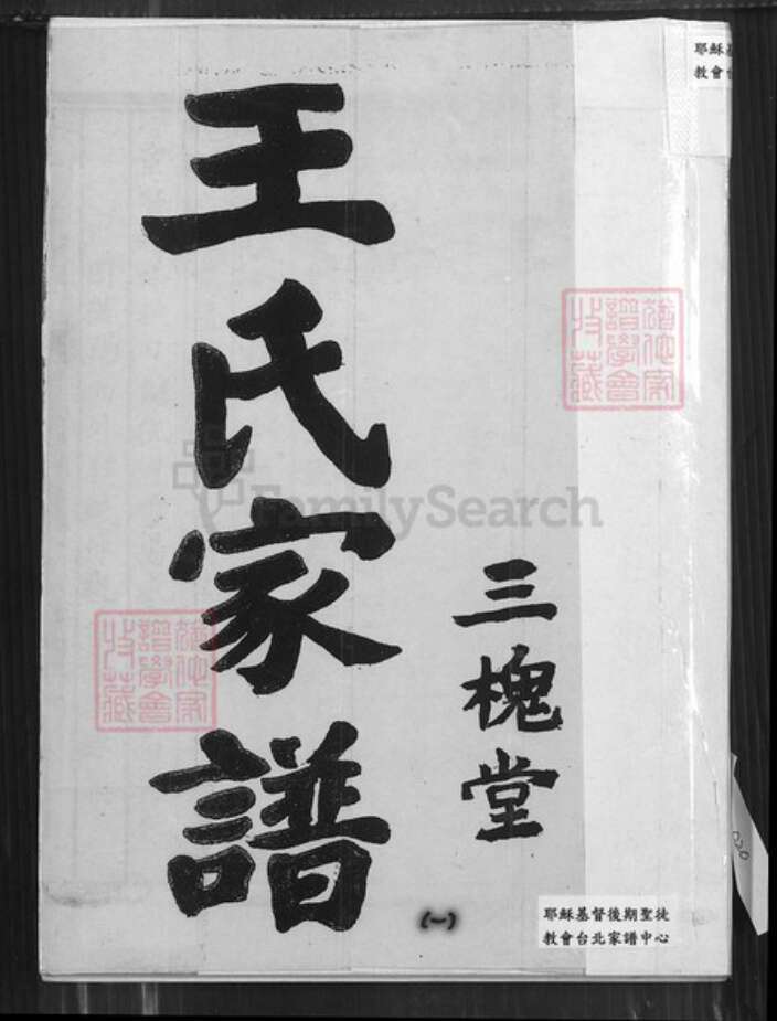 江苏省盐城市建湖县建阳镇王氏三槐堂族谱-王氏家谱.pdf电子版缩略图