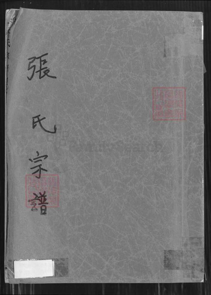 湖北省黄冈市黄梅县濯港镇江西省九江市九江张；张氏族谱-张氏宗谱.pdf电子版缩略图