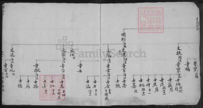 福建省泉州市安溪县尚卿乡余氏族谱-余氏族谱.pdf电子版预览图2