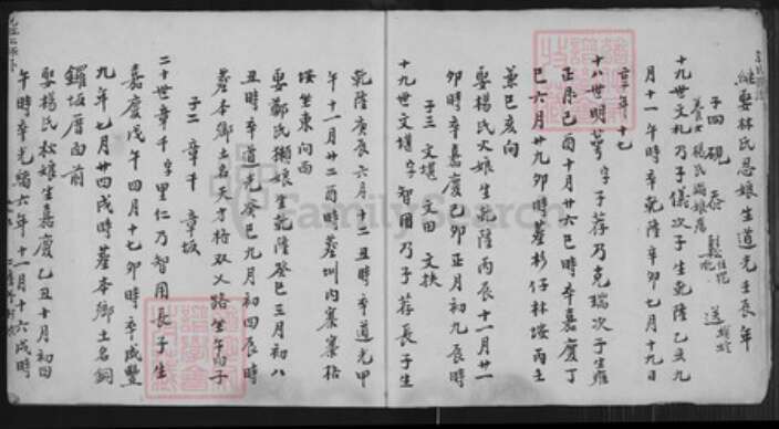 福建省泉州市安溪县尚卿乡余氏族谱-余氏族谱.pdf电子版预览图4