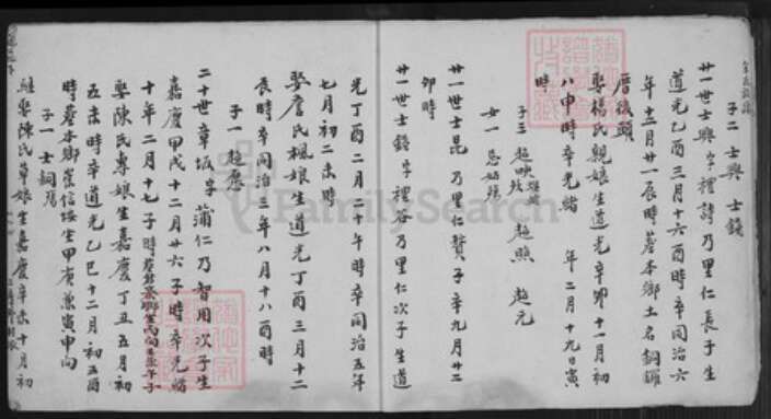 福建省泉州市安溪县尚卿乡余氏族谱-余氏族谱.pdf电子版预览图5