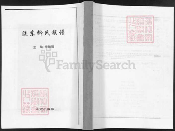 山东省柳氏族谱-胶东柳氏族谱.pdf电子版缩略图