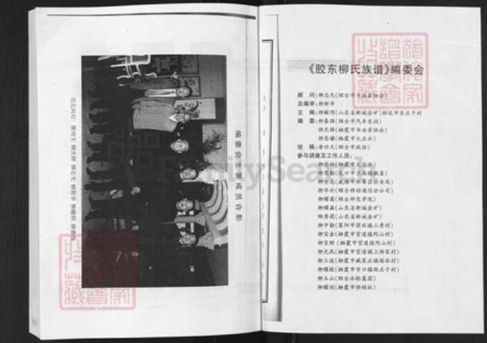 山东省柳氏族谱-胶东柳氏族谱.pdf电子版预览图1