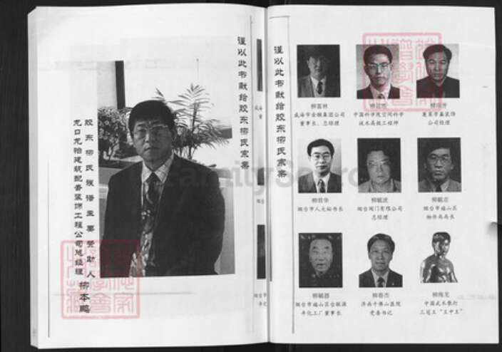 山东省柳氏族谱-胶东柳氏族谱.pdf电子版预览图2