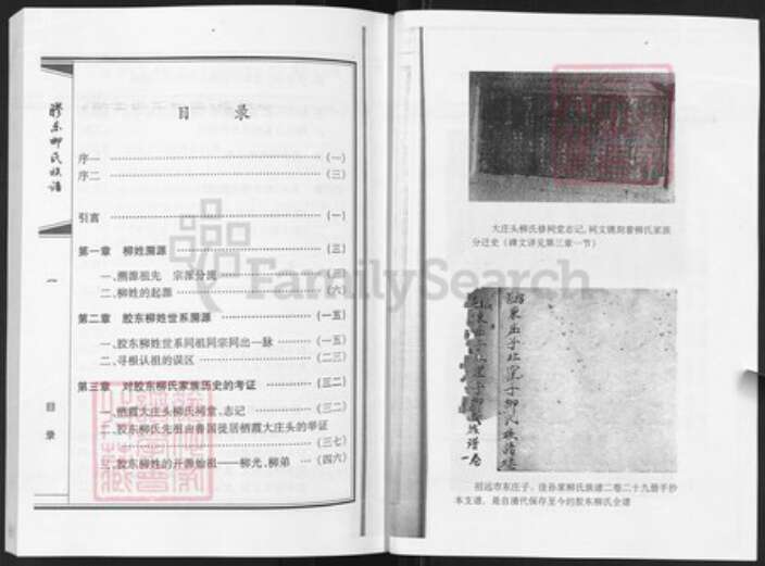 山东省柳氏族谱-胶东柳氏族谱.pdf电子版预览图5