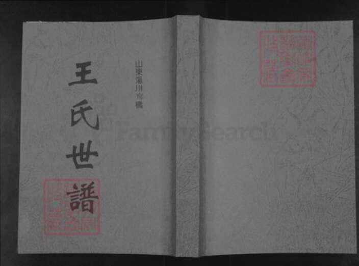 山东省淄博市淄川区王氏族谱-王氏世谱.pdf电子版缩略图