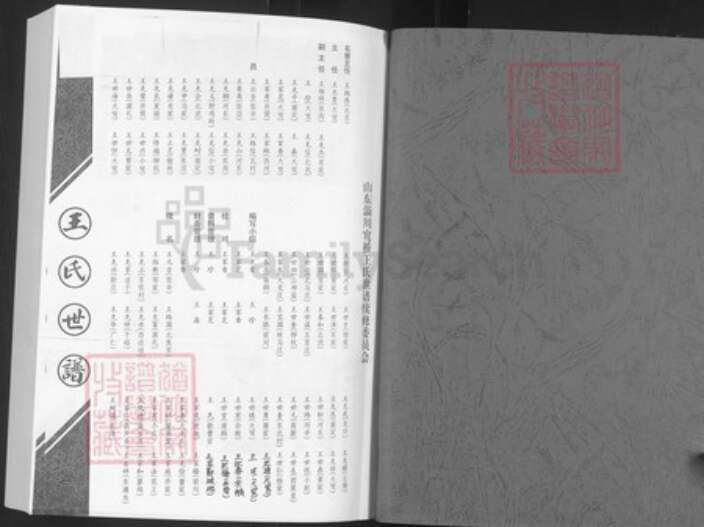 山东省淄博市淄川区王氏族谱-王氏世谱.pdf电子版预览图1