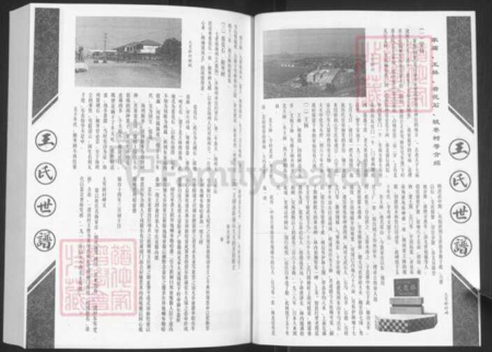 山东省淄博市淄川区王氏族谱-王氏世谱.pdf电子版预览图5