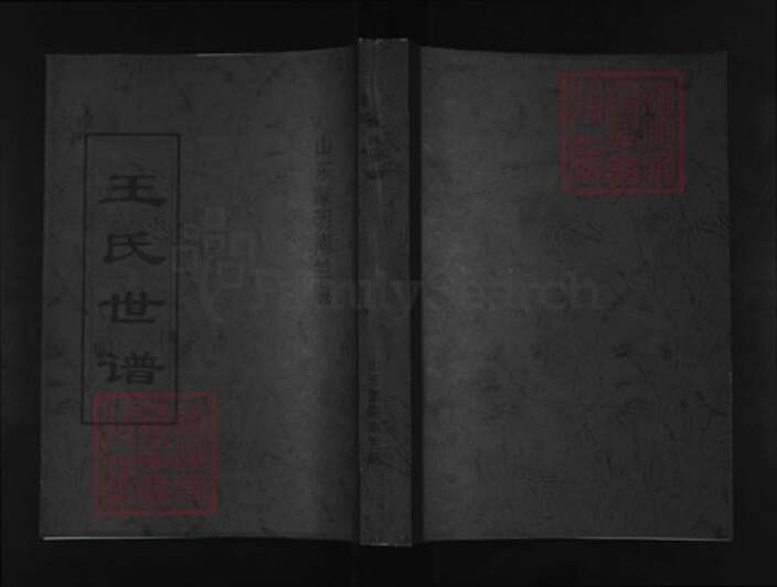 山东省临沂市蒙阴县王氏族谱-王氏世谱.pdf电子版缩略图