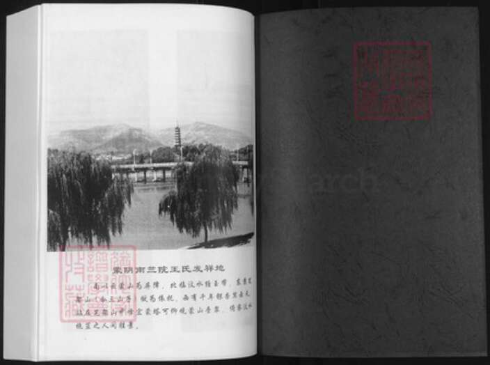 山东省临沂市蒙阴县王氏族谱-王氏世谱.pdf电子版预览图1