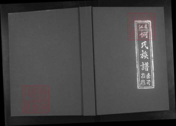 河南省周口市西华县奉母镇何氏族谱-卢江何氏族谱.pdf电子版缩略图