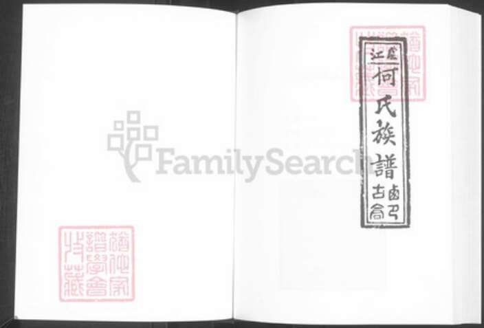 河南省周口市西华县奉母镇何氏族谱-卢江何氏族谱.pdf电子版预览图1