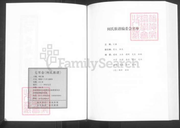 河南省周口市西华县奉母镇何氏族谱-卢江何氏族谱.pdf电子版预览图2