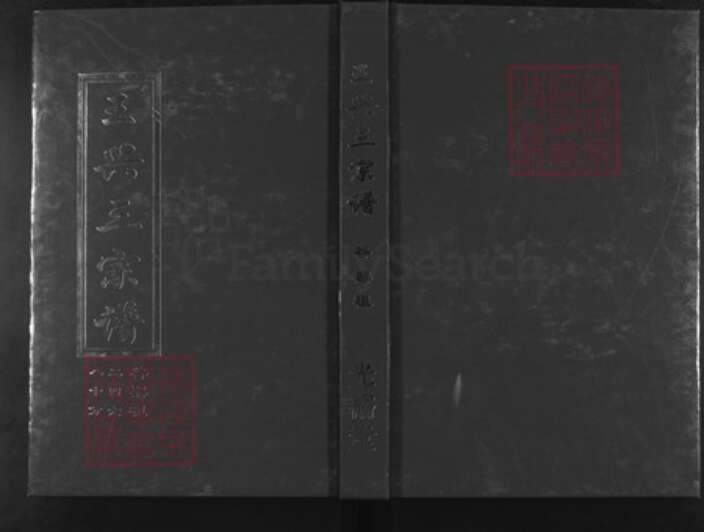 湖北省武汉市新洲区王氏光裕堂族谱-王兴三宗谱.pdf电子版缩略图