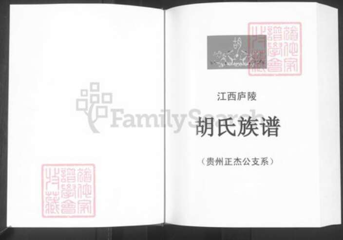 贵州省六盘水市贵州省毕节市大方县胡氏族谱-胡氏族谱(贵州正节公支系).pdf电子版预览图2